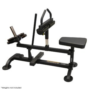 Seated Calf Raise